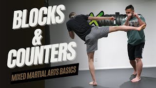 MMA | Basic Punches, Kicks, Blocks and Counters