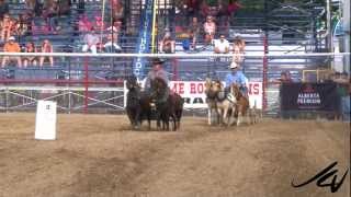 Chuckwagon Racing 2012   Miniature Horse  YouTube