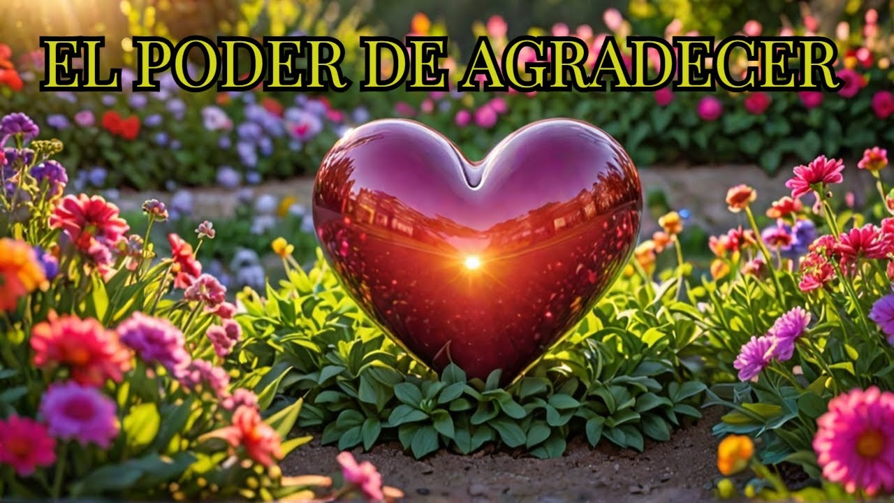 El Poder de la Gratitud Un Camino hacia una Vida - YouTube