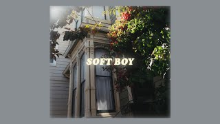 soft boy - palmertrees (lyrics)