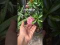 veettiloot 🌧️🤍 little moments, soft evenings &amp; calm chaos #vlog #malayalam #aesthetic
