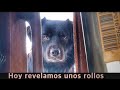 Revelando rollos viejos.