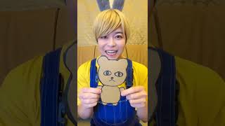 A disabled duckling helps his cat friend 🐥 642 #DuckRescue #CuteAnimal #AnimalRescue