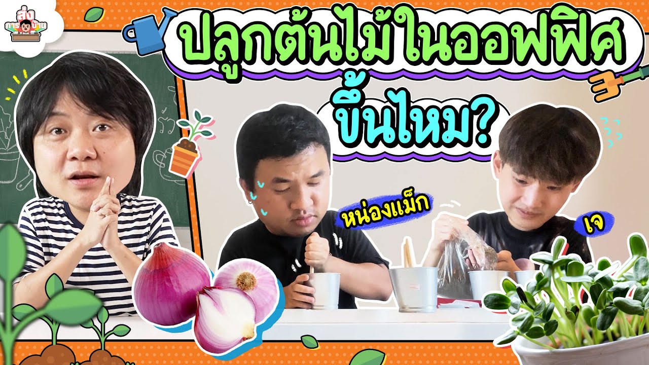 ทดลองปลูกผักเอง! | ส่งการบ้าน