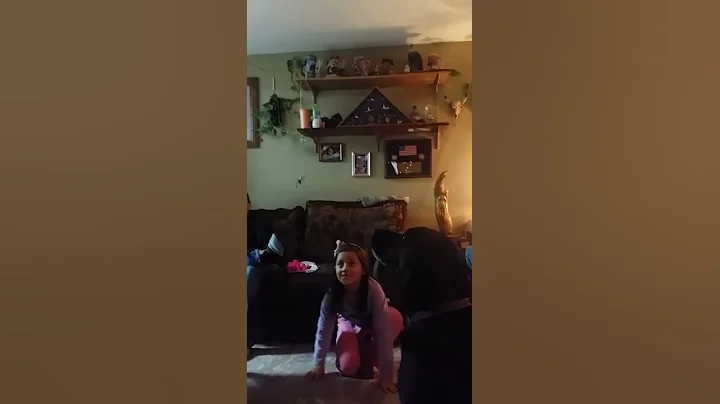 Playing catch with the dog inside