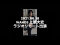 WANDS 上原大史