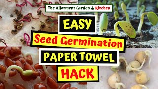 EASY Paper Towel Seed Germination Hack - A Step by Step Guide from Germination to Potting #67