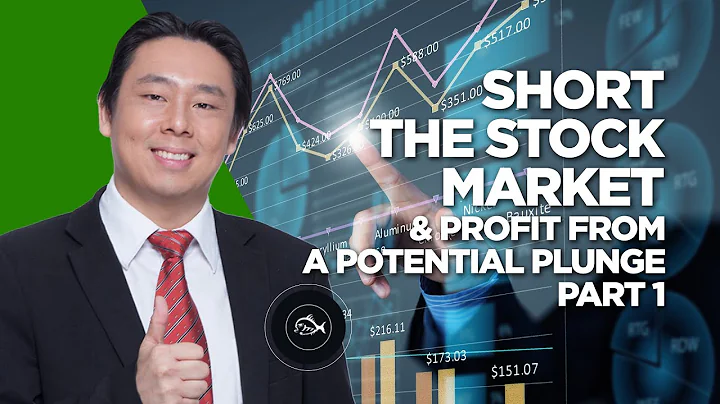 Short the Stock Market & Profit from a Potential Plunge Part 1 of 2