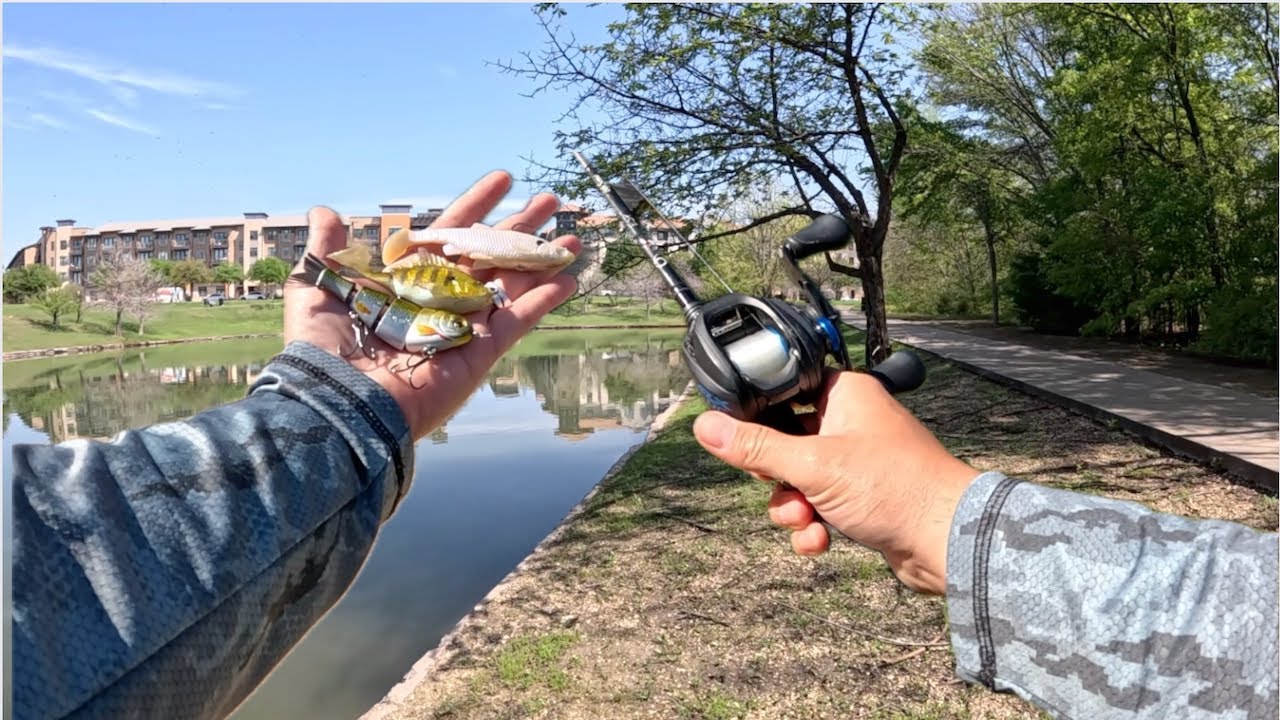 SwimBait Fishing!!