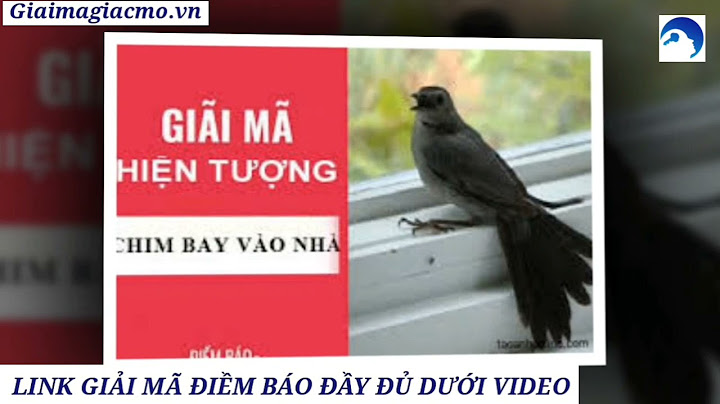 Chim bay vào nhà là điềm báo gì