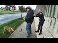 He Let His Dog Cut Loose On The Cops To Avoid Arrest