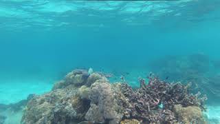 20180302 30 Malaysia Big Perhentian Island 011