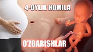 4 OYLIK HOMILADAGI O'ZGARISHLARI -- 4 ОЙЛИК ХОМИЛАДАГИ УЗГАРИШЛАРИ  (2019) screenshot 2