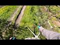 Stihl FS 56 in Action POV Cutting Weeds Grass with String Trimmer Brush cutter Apr 2026 part 3