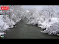 🔴  Snowy River with 432 Hz Music for Healing, Meditation, Relaxation &amp; Sleep