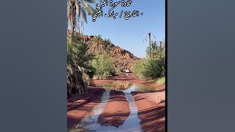 تلاوة سورة الليل  القارئ{ مبارك الغيثي }