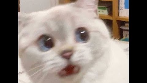 redistribution OSPF/EIGRP EIGRP/OSPF routing protocols (EvE ng)