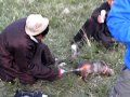 Marmot prep -- Part 2