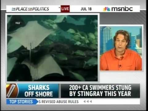 Dr Reese Halter - MSNBC - Global Warming: Sharks on the Move, Northeast USA