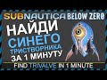 Subnautica BELOW ZERO ГДЕ НАЙТИ СИНЕГО ТРЕХСТВОРЧАТОГО