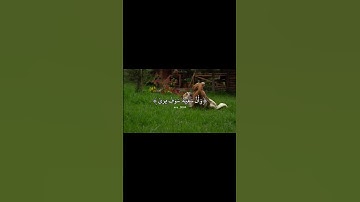 طمأنينةة ✥ . #قرآن_كريم #سورة_النجم #القارئ_محمد_صديق_المنشاوي #اترك_اثرا_طيبا_بذكر_الله