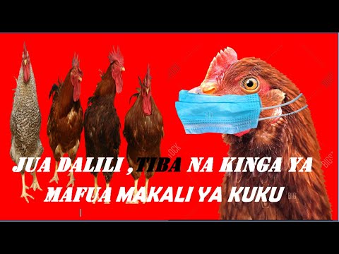 Video: Kuku Ya Kuku Katika Mchuzi Wa Cranberry