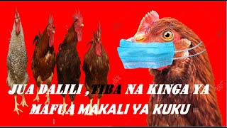 TAMBUA DALILI,TIBA NA KINGA YA MAFUA MAKALI YA KUKU