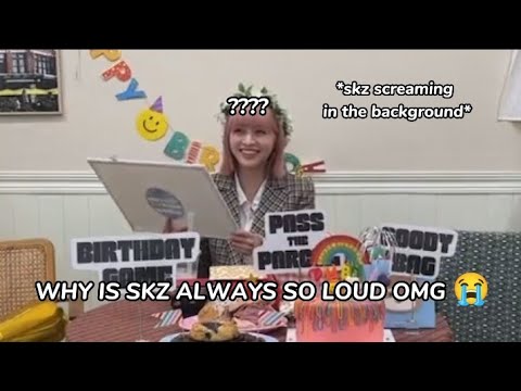 Just Straykids Screaming In The Background Of Lily's Birthday Vlive