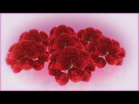 SMAP 歌ってみた『世界に一つだけの花』Cover 松原 樹