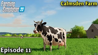 Farming Simulator 22 Timelapse - Calmsden Farm Ep 11 GETTING COWS