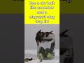 how to trap and not kill slugs #gardening #slugs #garden #beginnergardening #plants
