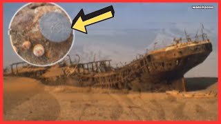 Unbelievable Discovery in the Heart of the Desert! You Won't Believe What Scientists Found by WatchZozo 2,340 views 1 month ago 1 minute, 57 seconds