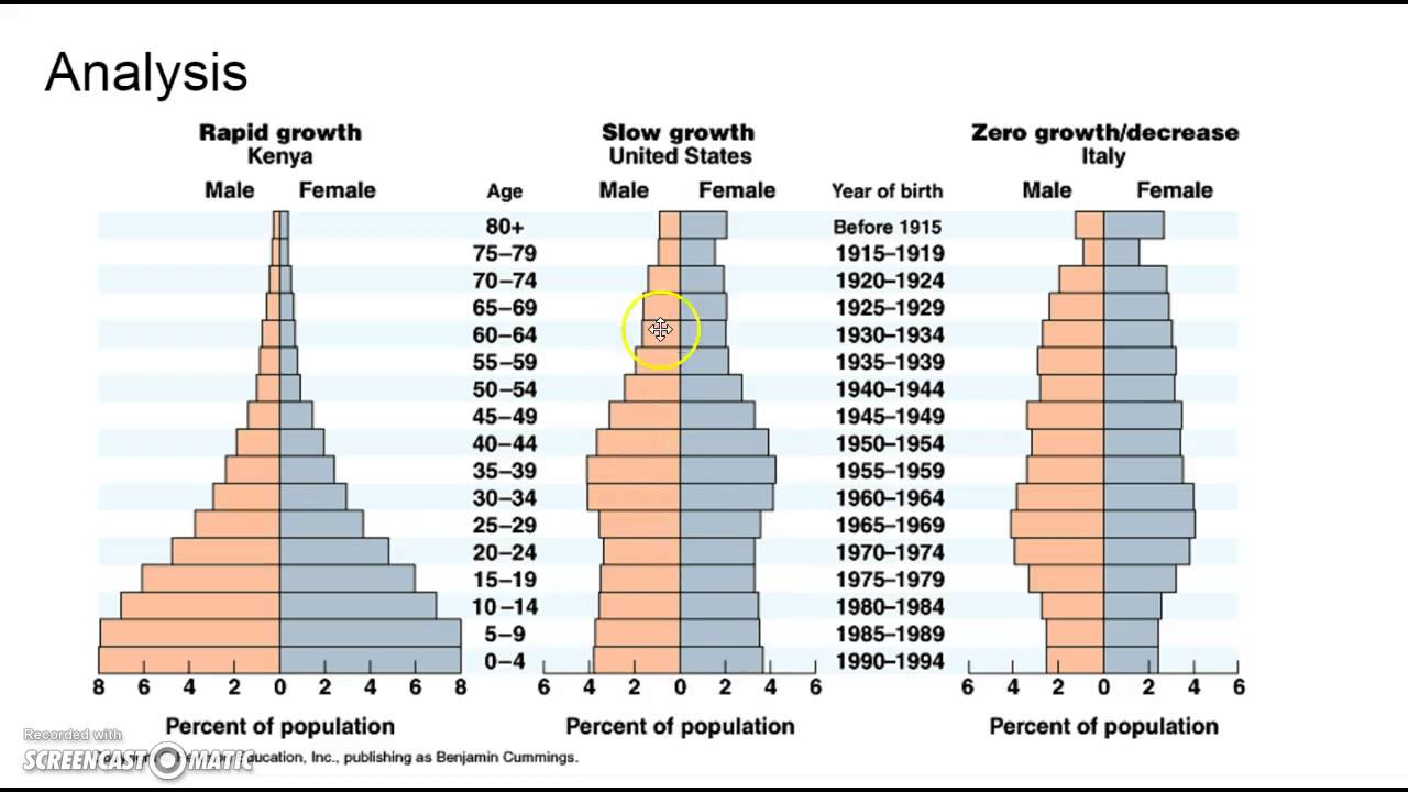 Stage 4 Country Population Pyramid