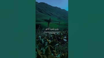 #قران_كريم #تلاوة_خاشعة_تريح_القلب #القارئ_ياسر_الدوسري #ترند #اكسبلور #explore #quran 😴♥