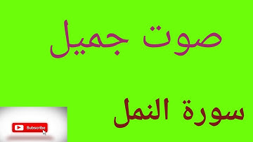 سورة النمل محمد الكنتاوي