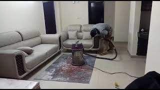 Best Sofa Cleaning Services Delhi NCR, Noida, Ghaziabad, Gurgaon, India with Safaiwale Best Sofa Cleaning Services Delhi NCR, Noida, Ghaziabad, Gurgaon, India with Safaiwale