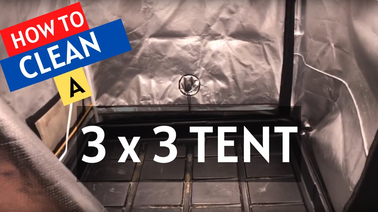 How to Clean a 3x3 Grow Tent