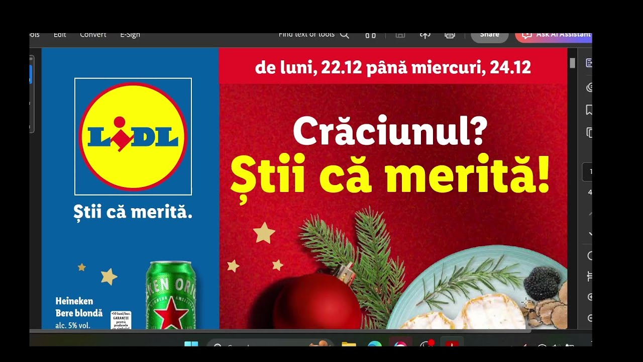 CATALOG LIDL 22   24 DECEMBRIE 2025