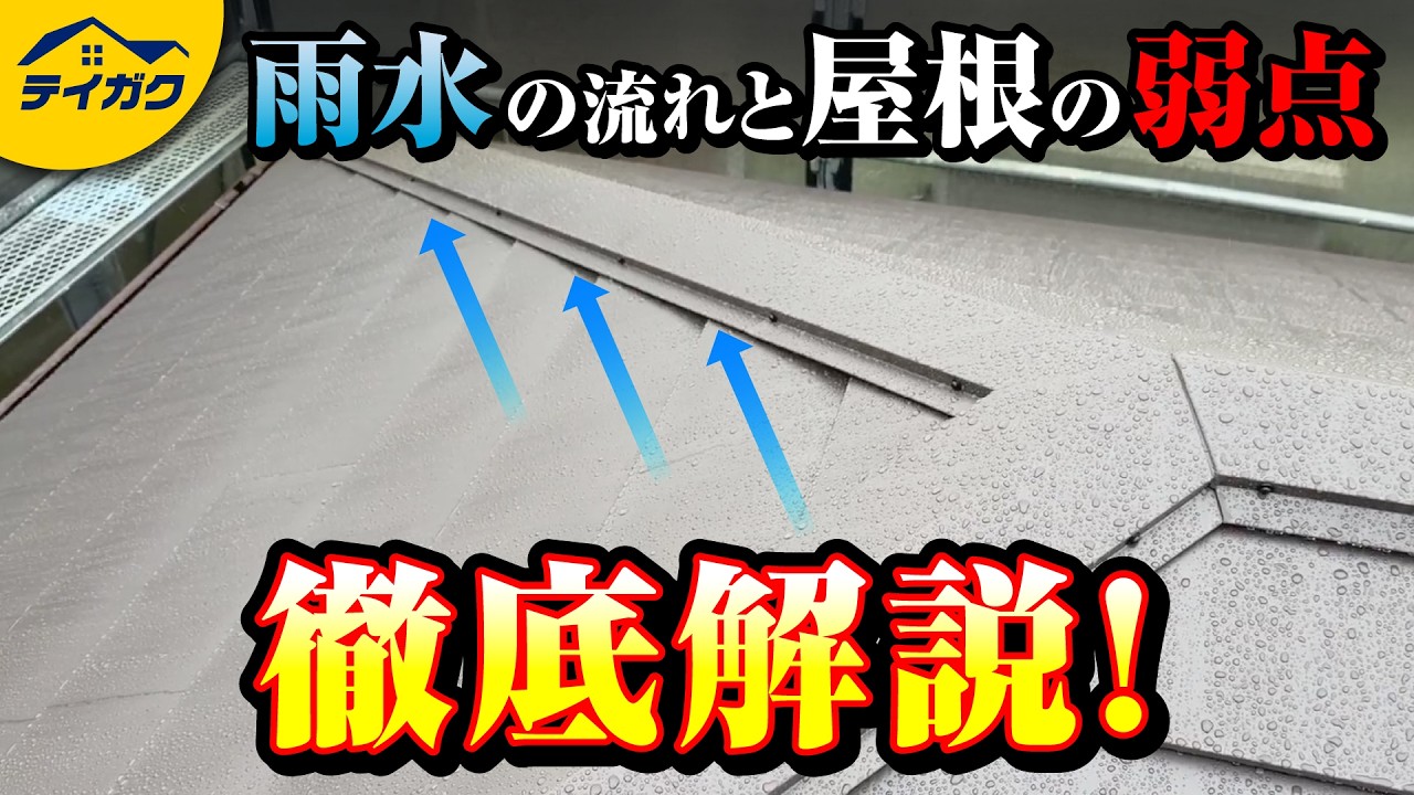 【屋根の役割】屋根に雨の日にのぼって雨水の流れ撮影して解説 - YouTube