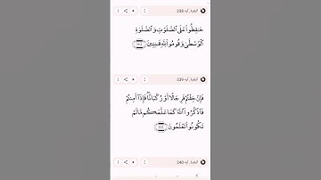 بسم الله الرحمن الرحيم سورة البقرة ايه 238