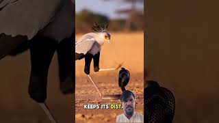 😲😲 #keşfet #duet #xbox #keşfet #duet #motivation #comedyfilms #online #fishing #funny #videomaker