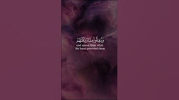 سورة إبراهيم الأية ٣١  القارئ : ياسر الدوسري