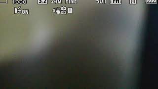 Om11