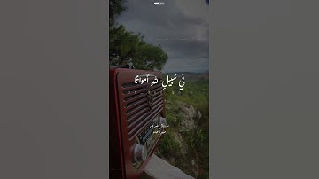 الآية 169 من سورة آل عمران | الشيخة منيرة عبده 📖🤎🎧 #quran