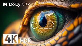 Dolby 4K HDR Vision with Animal Footage with Soothing Music (color dynamic)
