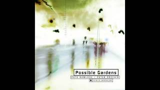Pete Namlook & Peter Prochir - Terminal Beach (Possible Gardens)