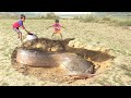 Amazing Hand Fishing Video Underground Big Monster Fish Come Out In River Dry Place #monster_fishing