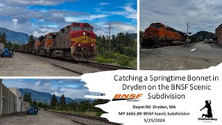 Catching a Springtime Bonnet in Dryden on the BNSF Scenic Subdivision