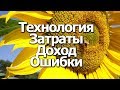 Выращивание подсолнуха от А до Я: Затраты, Доход, Ошибки, Технология. Фильм Фермера.