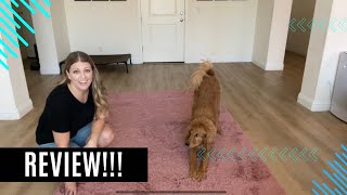 Fluffy Area Rug for Living Room, Shaggy Bedroom Rug!